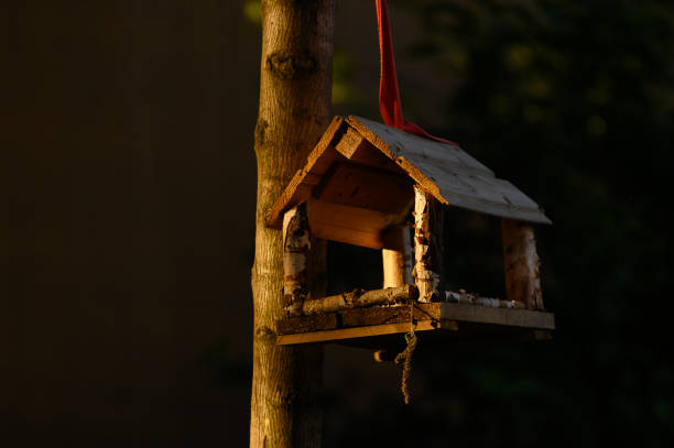 Futterhaus für Vögel